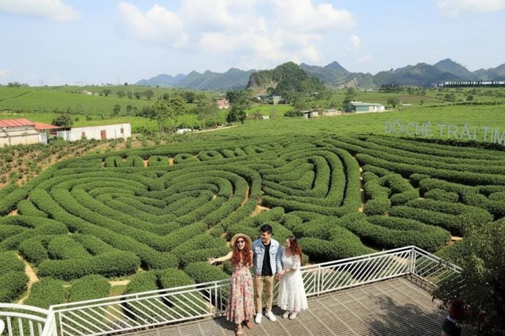 Đồi ch&egrave; để lại nhiều cảm x&uacute;c cho mỗi du kh&aacute;ch gh&eacute; thăm